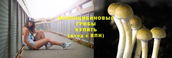 СК Алексеевка