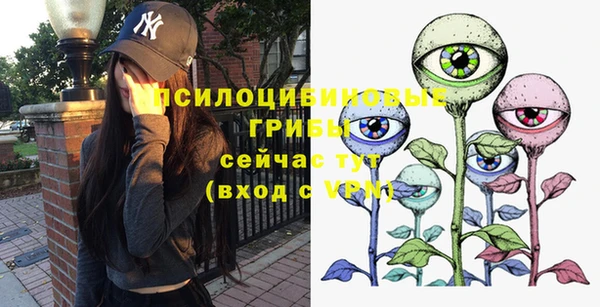 кокс Алзамай