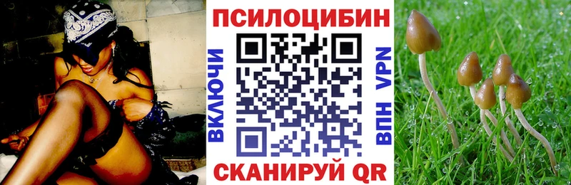 Галлюциногенные грибы прущие грибы  дарнет шоп  Кашин 